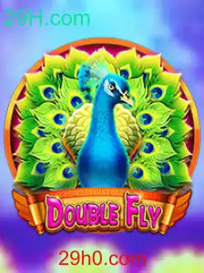 DoubleFly: Um Mergulho no Universo Interativo de 29H.com